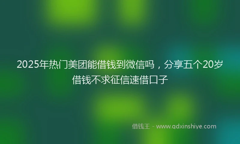 2025年热门美团能借钱到微信吗,分享五个20岁借钱不求征信速借口子