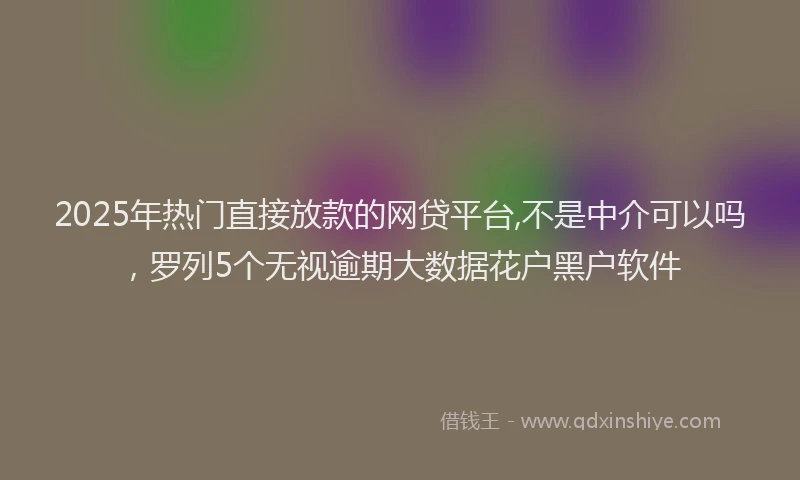 2025年热门直接放款的网贷平台,不是中介可以吗，罗列5个无视逾期大数据花户黑户软件