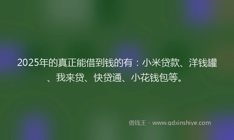 2025年的真正能借到钱的有：小米贷款、洋钱罐、我来贷、快贷通、小花钱包等。