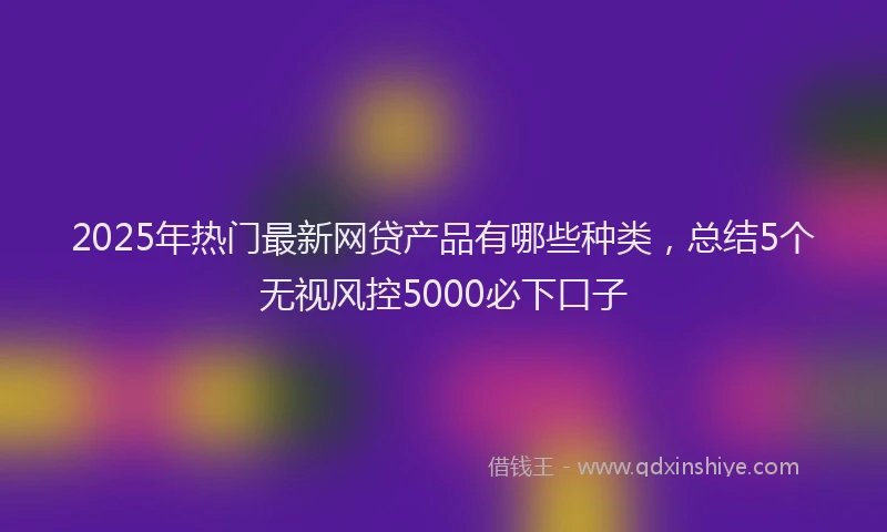 2025年热门最新网贷产品有哪些种类，总结5个无视风控5000必下口子