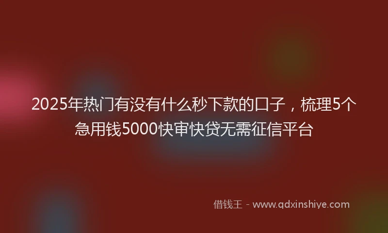 2025年热门有没有什么秒下款的口子，梳理5个急用钱5000快审快贷无需征信平台