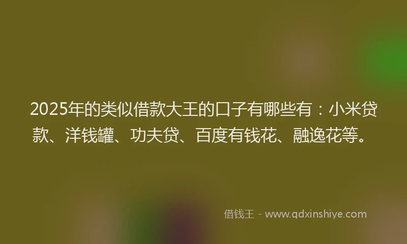 2025年的类似借款大王的口子有哪些有：小米贷款、洋钱罐、功夫贷、百度有钱花、融逸花等。