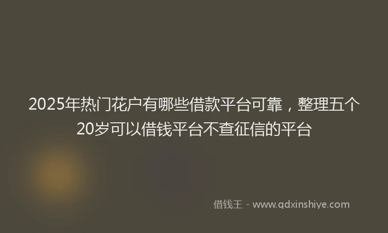 2025年热门花户有哪些借款平台可靠，整理五个20岁可以借钱平台不查征信的平台