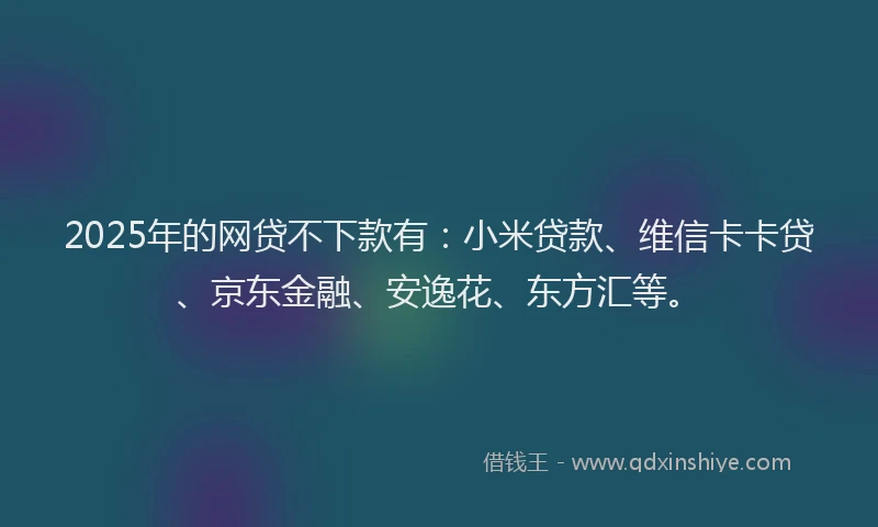 2025年的网贷不下款有：小米贷款、维信卡卡贷、京东金融、安逸花、东方汇等。