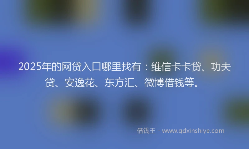 2025年的网贷入口哪里找有：维信卡卡贷、功夫贷、安逸花、东方汇、微博借钱等。