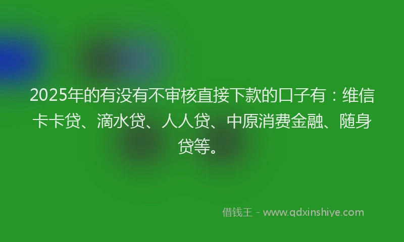 2025年的有没有不审核直接下款的口子有：维信卡卡贷、滴水贷、人人贷、中原消费金融、随身贷等。