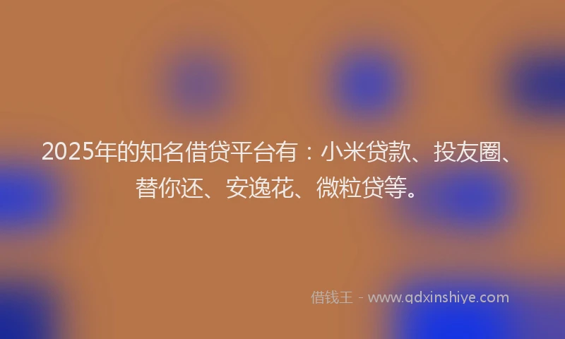 2025年的知名借贷平台有：小米贷款、投友圈、替你还、安逸花、微粒贷等。