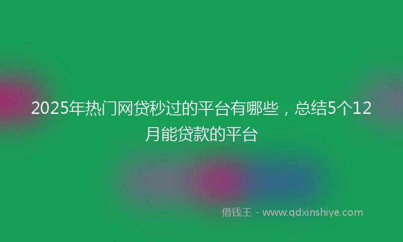 2025年热门网贷秒过的平台有哪些，总结5个12月能贷款的平台