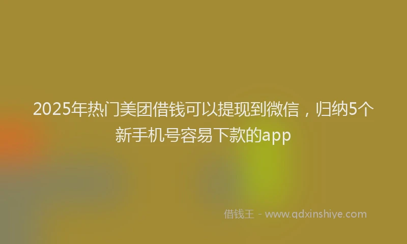 2025年热门美团借钱可以提现到微信，归纳5个新手机号容易下款的app