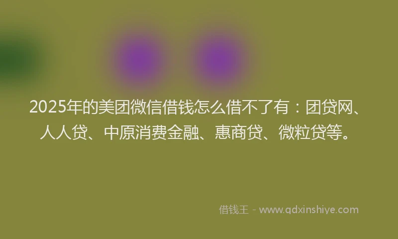 2025年的美团微信借钱怎么借不了有：团贷网、人人贷、中原消费金融、惠商贷、微粒贷等。