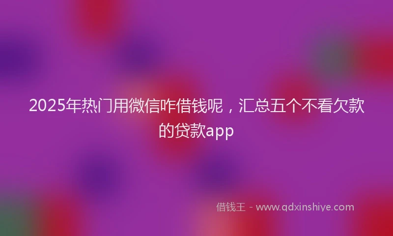 2025年热门用微信咋借钱呢，汇总五个不看欠款的贷款app