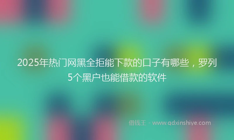2025年热门网黑全拒能下款的口子有哪些，罗列5个黑户也能借款的软件