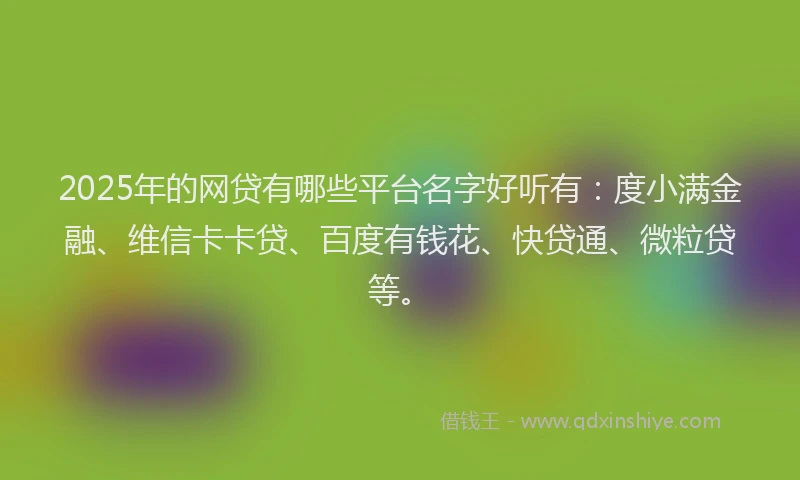 2025年的网贷有哪些平台名字好听有：度小满金融、维信卡卡贷、百度有钱花、快贷通、微粒贷等。