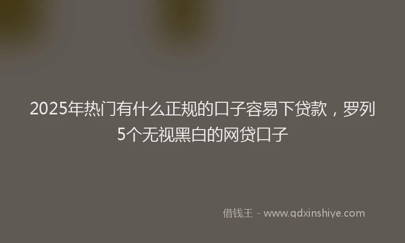 2025年热门有什么正规的口子容易下贷款，罗列5个无视黑白的网贷口子