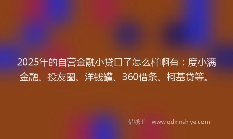 2025年的自营金融小贷口子怎么样啊有：度小满金融、投友圈、洋钱罐、360借条、柯基贷等。