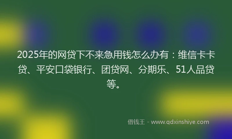 2025年的网贷下不来急用钱怎么办有：维信卡卡贷、平安口袋银行、团贷网、分期乐、51人品贷等。