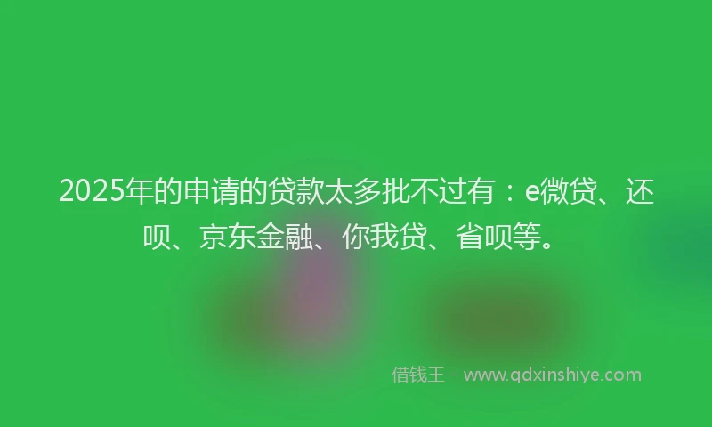 2025年的申请的贷款太多批不过有：e微贷、还呗、京东金融、你我贷、省呗等。