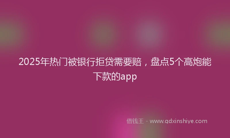 2025年热门被银行拒贷需要赔，盘点5个高炮能下款的app