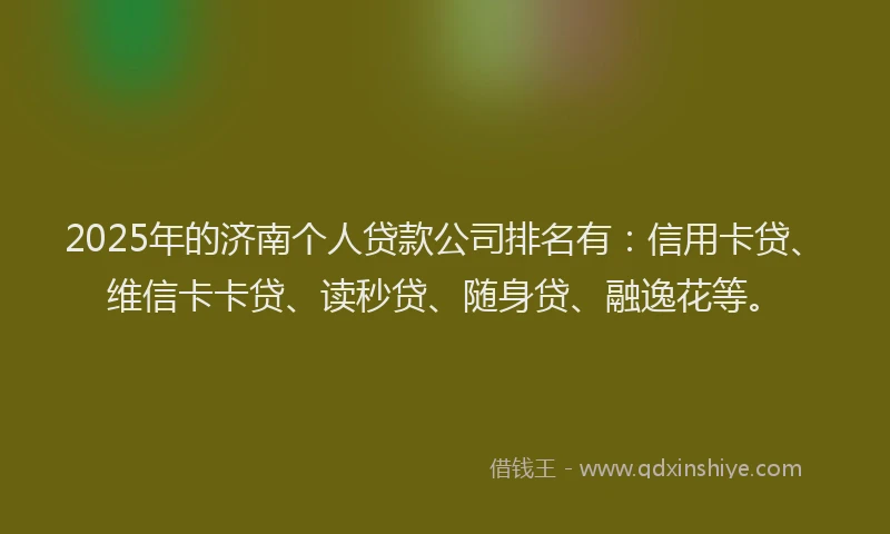 2025年的济南个人贷款公司排名有：信用卡贷、维信卡卡贷、读秒贷、随身贷、融逸花等。