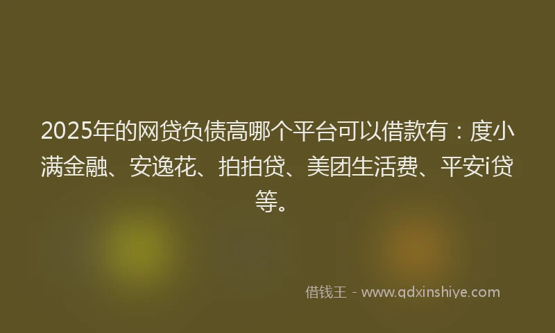 2025年的网贷负债高哪个平台可以借款有：度小满金融、安逸花、拍拍贷、美团生活费、平安i贷等。