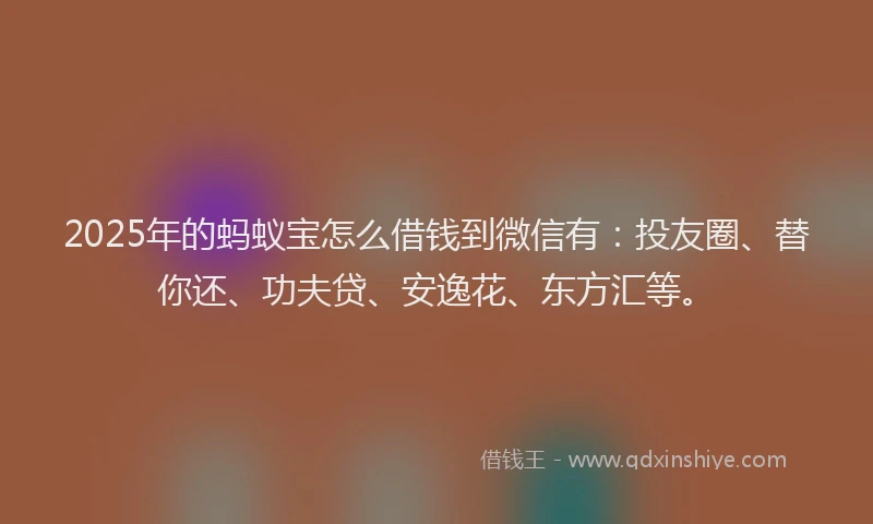 2025年的蚂蚁宝怎么借钱到微信有:投友圈、替你还、功夫贷、安逸花、东方汇等。