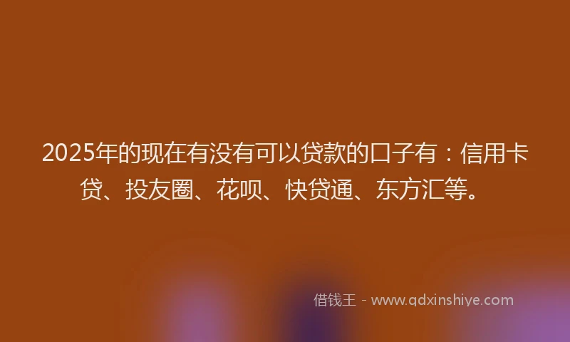 2025年的现在有没有可以贷款的口子有：信用卡贷、投友圈、花呗、快贷通、东方汇等。