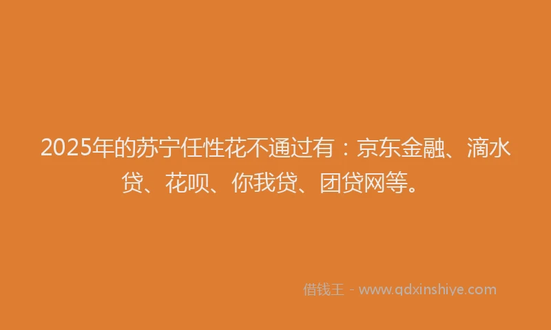 2025年的苏宁任性花不通过有：京东金融、滴水贷、花呗、你我贷、团贷网等。