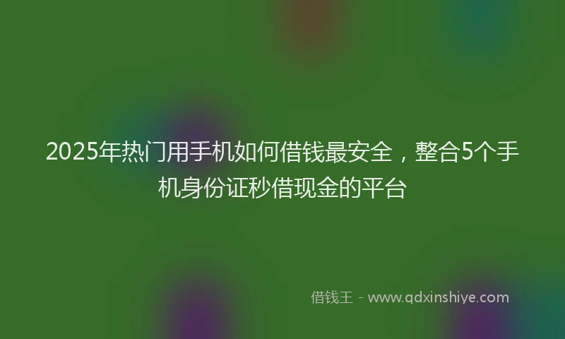 2025年热门用手机如何借钱最安全，整合5个手机身份证秒借现金的平台