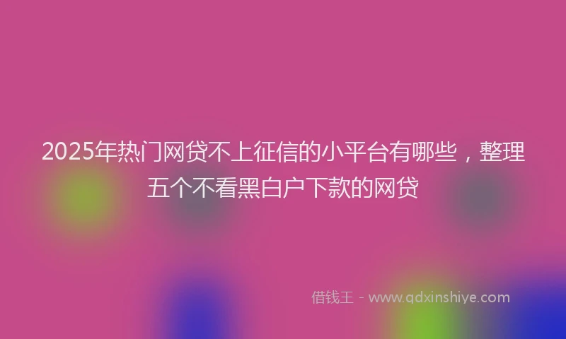 2025年热门网贷不上征信的小平台有哪些，整理五个不看黑白户下款的网贷