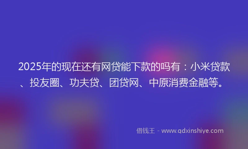 2025年的现在还有网贷能下款的吗有：小米贷款、投友圈、功夫贷、团贷网、中原消费金融等。