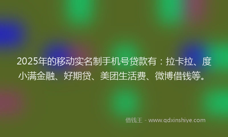 2025年的移动实名制手机号贷款有：拉卡拉、度小满金融、好期贷、美团生活费、微博借钱等。