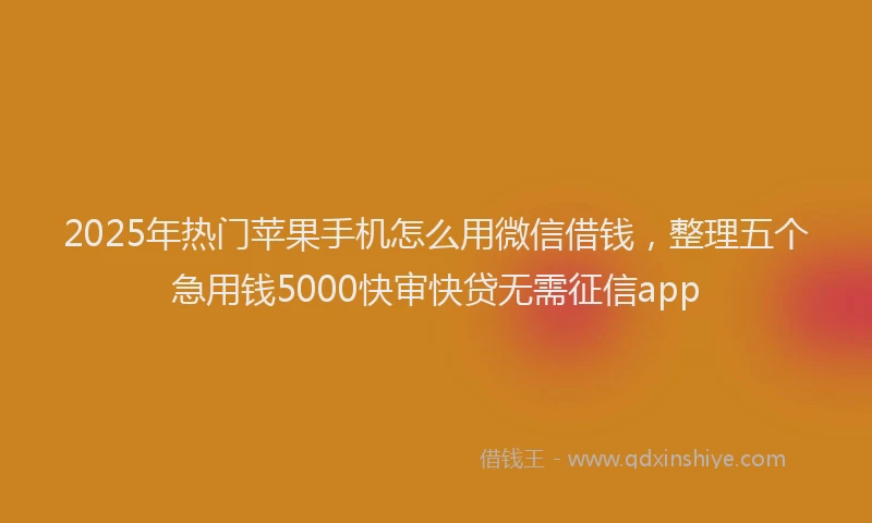 2025年热门苹果手机怎么用微信借钱，整理五个急用钱5000快审快贷无需征信app