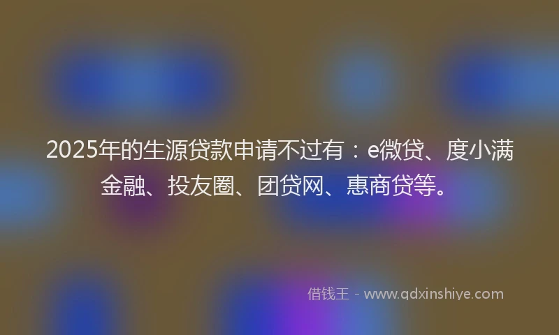 2025年的生源贷款申请不过有：e微贷、度小满金融、投友圈、团贷网、惠商贷等。