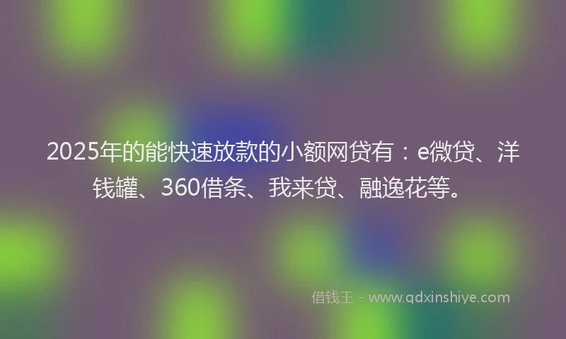 2025年的能快速放款的小额网贷有：e微贷、洋钱罐、360借条、我来贷、融逸花等。