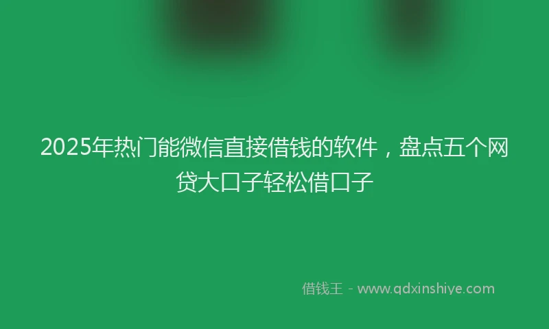 2025年热门能微信直接借钱的软件，盘点五个网贷大口子轻松借口子