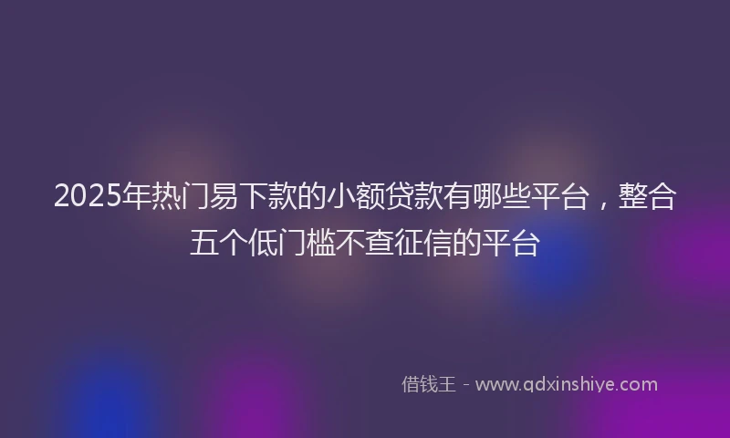 2025年热门易下款的小额贷款有哪些平台，整合五个低门槛不查征信的平台