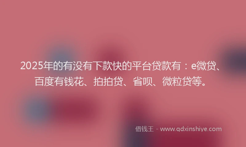 2025年的有没有下款快的平台贷款有：e微贷、百度有钱花、拍拍贷、省呗、微粒贷等。