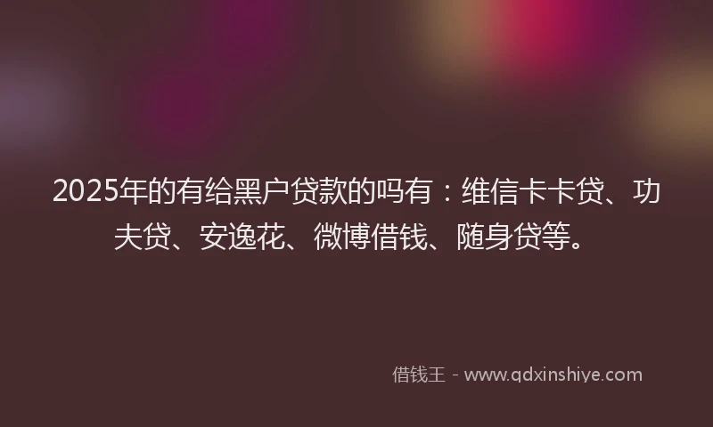 2025年的有给黑户贷款的吗有：维信卡卡贷、功夫贷、安逸花、微博借钱、随身贷等。