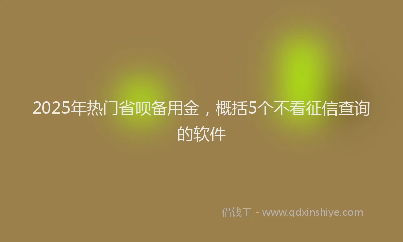 2025年热门省呗备用金，概括5个不看征信查询的软件