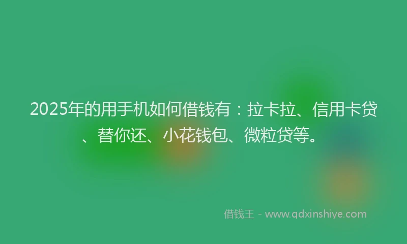 2025年的用手机如何借钱有：拉卡拉、信用卡贷、替你还、小花钱包、微粒贷等。