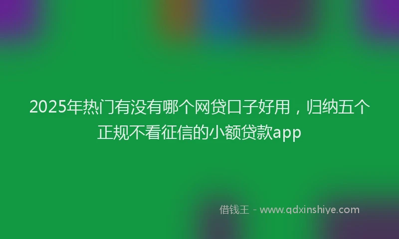2025年热门有没有哪个网贷口子好用，归纳五个正规不看征信的小额贷款app
