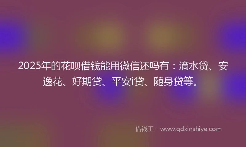 2025年的花呗借钱能用微信还吗有：滴水贷、安逸花、好期贷、平安i贷、随身贷等。