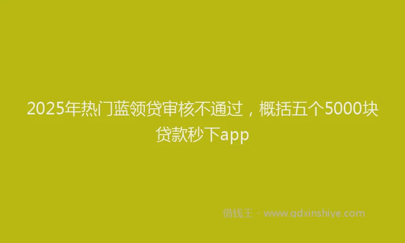 2025年热门蓝领贷审核不通过，概括五个5000块贷款秒下app