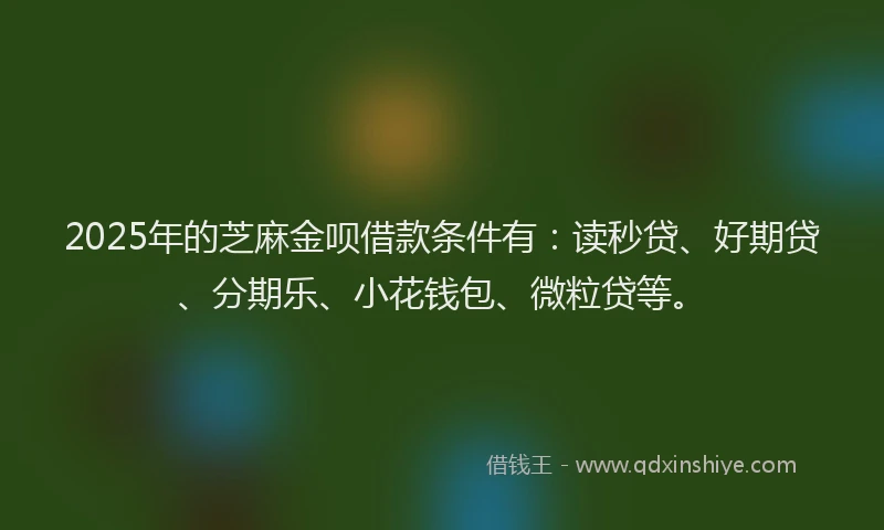 2025年的芝麻金呗借款条件有：读秒贷、好期贷、分期乐、小花钱包、微粒贷等。