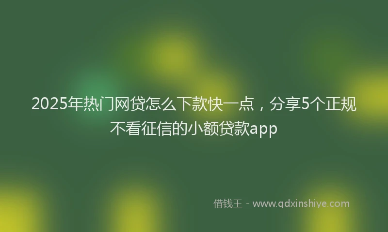 2025年热门网贷怎么下款快一点，分享5个正规不看征信的小额贷款app
