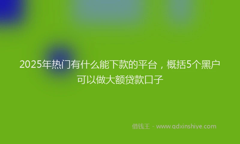 2025年热门有什么能下款的平台，概括5个黑户可以做大额贷款口子