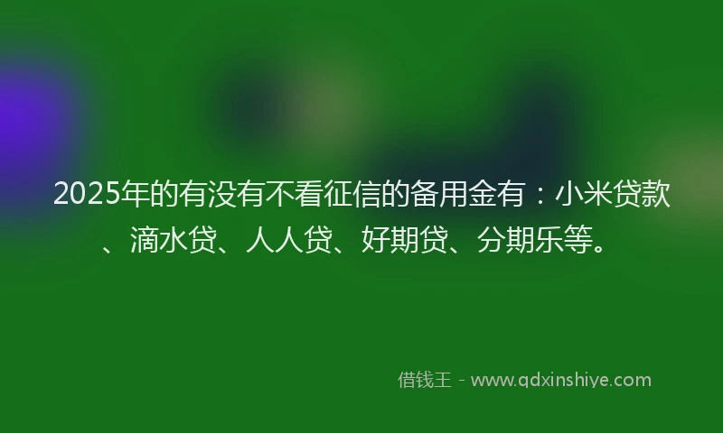 2025年的有没有不看征信的备用金有：小米贷款、滴水贷、人人贷、好期贷、分期乐等。