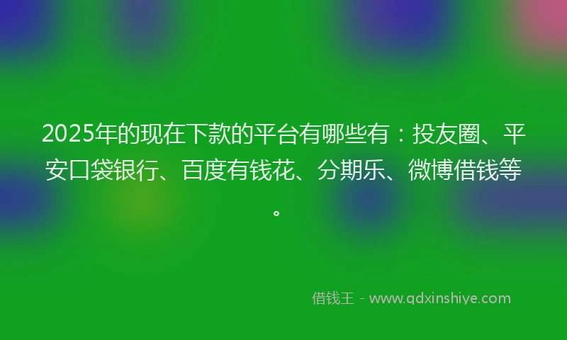 2025年的现在下款的平台有哪些有：投友圈、平安口袋银行、百度有钱花、分期乐、微博借钱等。