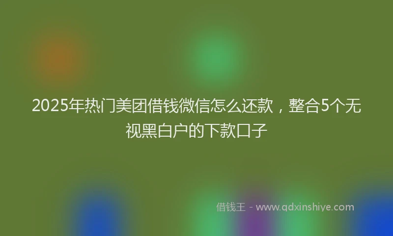 2025年热门美团借钱微信怎么还款，整合5个无视黑白户的下款口子