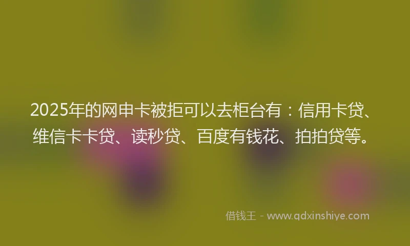 2025年的网申卡被拒可以去柜台有：信用卡贷、维信卡卡贷、读秒贷、百度有钱花、拍拍贷等。